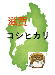 コシヒカリ(滋賀県)